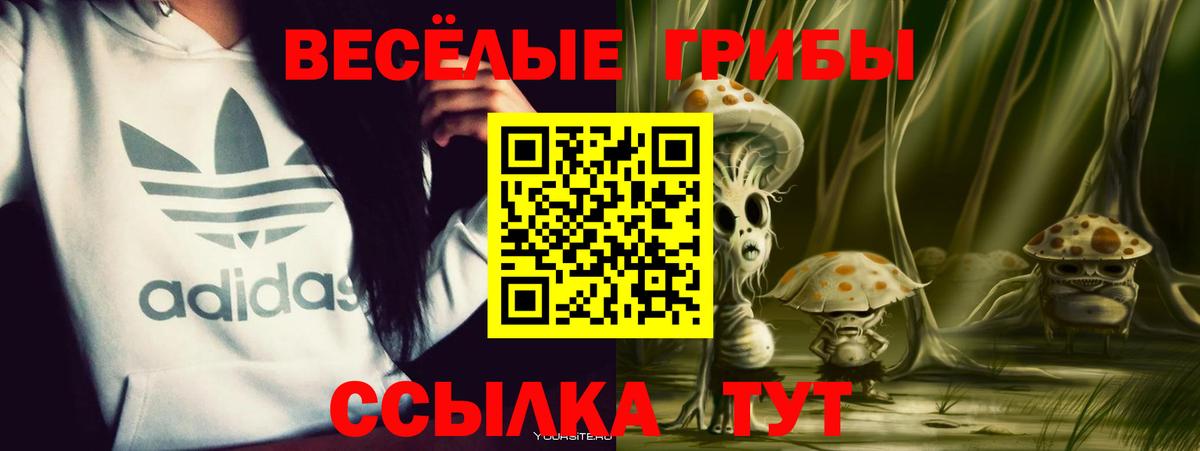 Галлюциногенные грибы MAGIC MUSHROOMS  Псилоцибиновые грибы MAGIC MUSHROOMS  Вход с VPN  Рязань 
